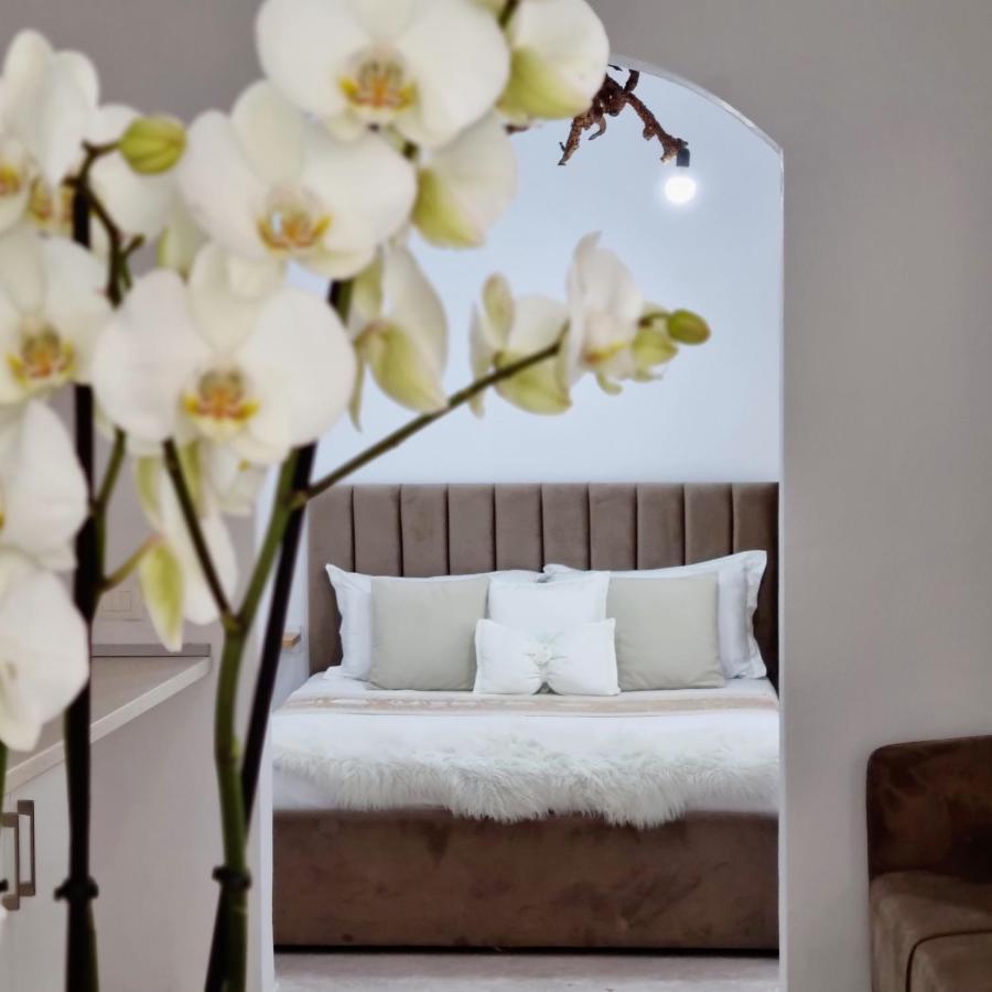 Green Villa Vlorë 외부 사진